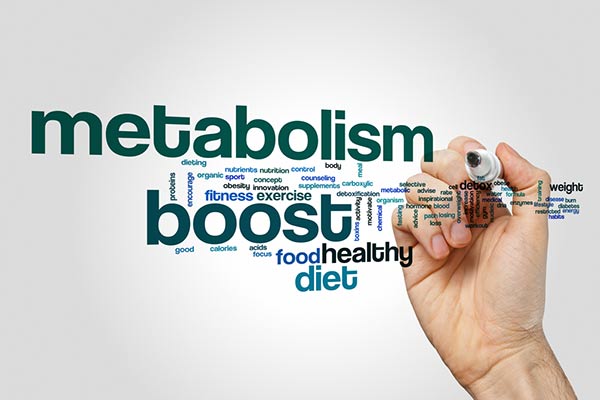 Increase Metabolism