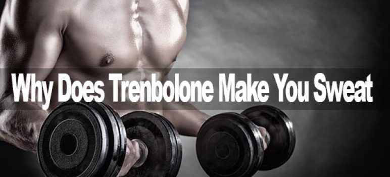 Trenbolone Sweat